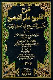 التلويح على التوضيح