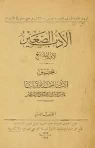 الأدب الصغير