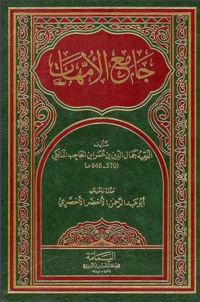 جامع الأمهات أو مختصر ابن الحاجب الفرعي