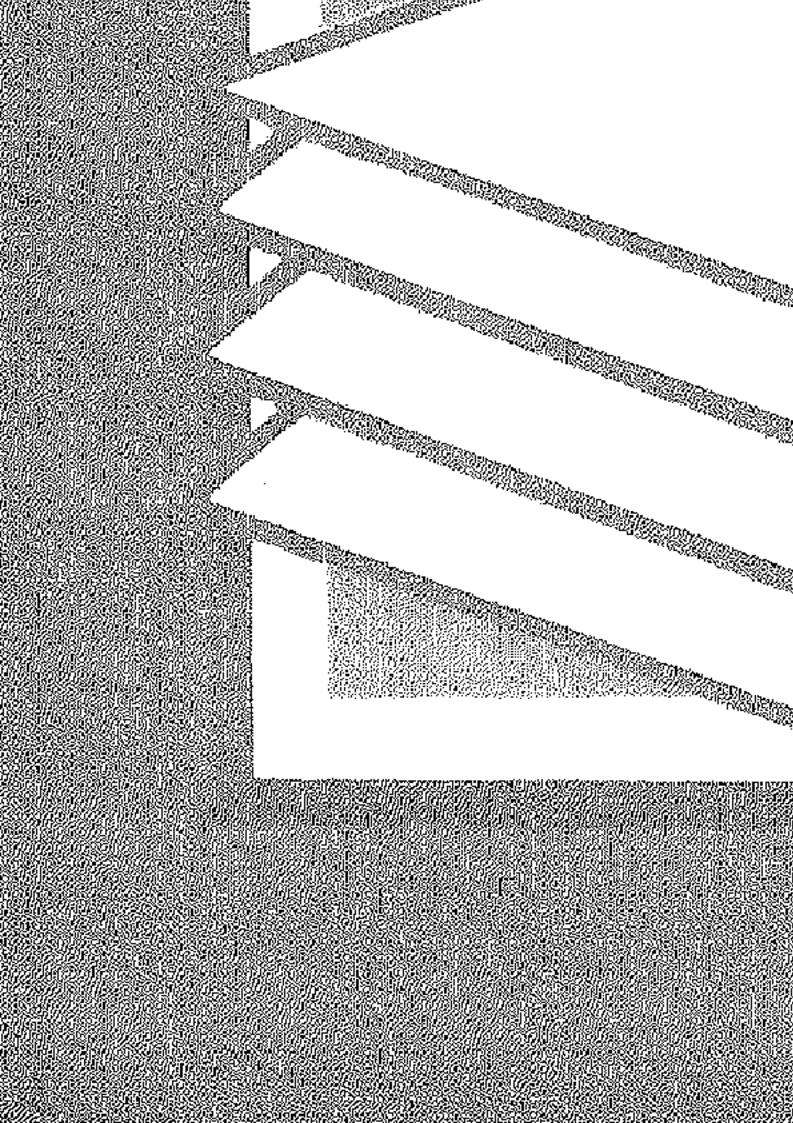 الشبهات الثلاثون المثارة لإنكار السنة النبوية