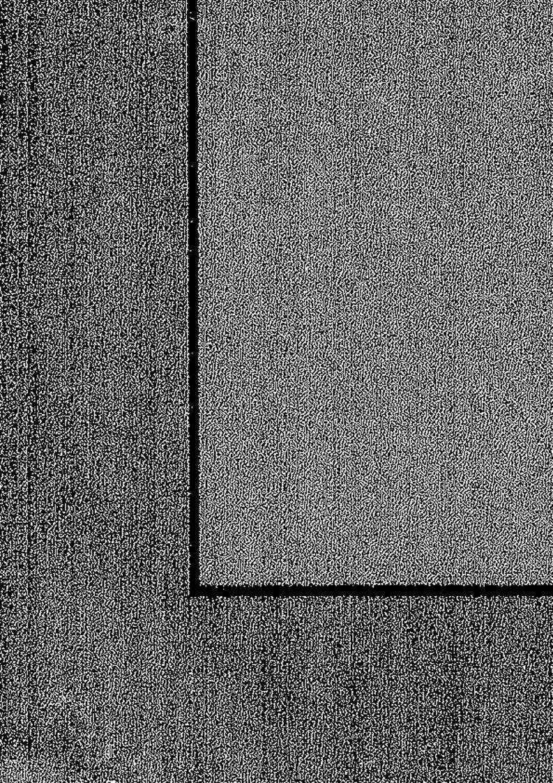 من هدي السنة النبوية