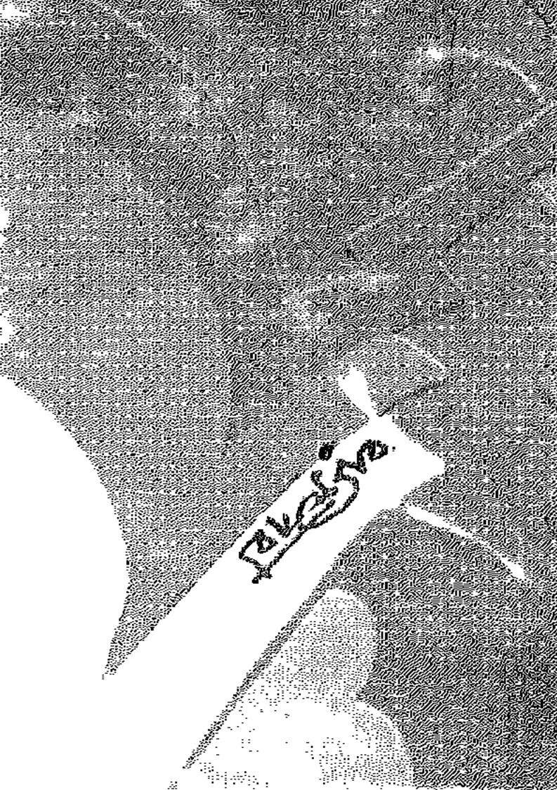 نساء أهل الجنة أصنافهن و حسنهن و أوصافهن و جمالهن