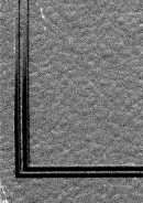 المدخل الوسيط لدراسة الشريعة الإسلامية والفقه والتشريع