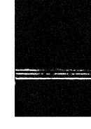 المدخل في الفقه الإسلامي – تعريفه وتاريخه ومذاهبه نظرية الملكية والعقد