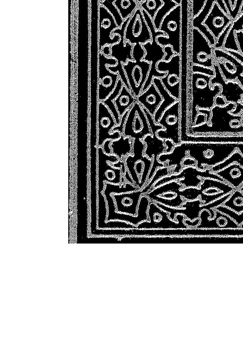 تقريرات الرافعي على حاشية ابن عابدين