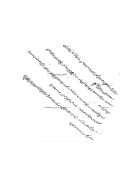 شرائع الإسلام