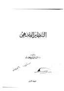 التنظير الفقهي