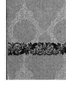 مصادر التشريع الإسلامي