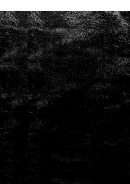 المذكر والمؤنث لأبي بكر بن الأنباري ( الجزء الثاني )