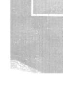 الأفعال غير المتصرفة وشبه المتصرفة