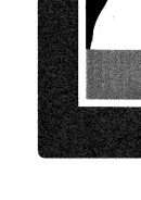 الباراسيكولوجيا بين المطرقة و النديان  ـ خوارق الطريقة الكسنزانية