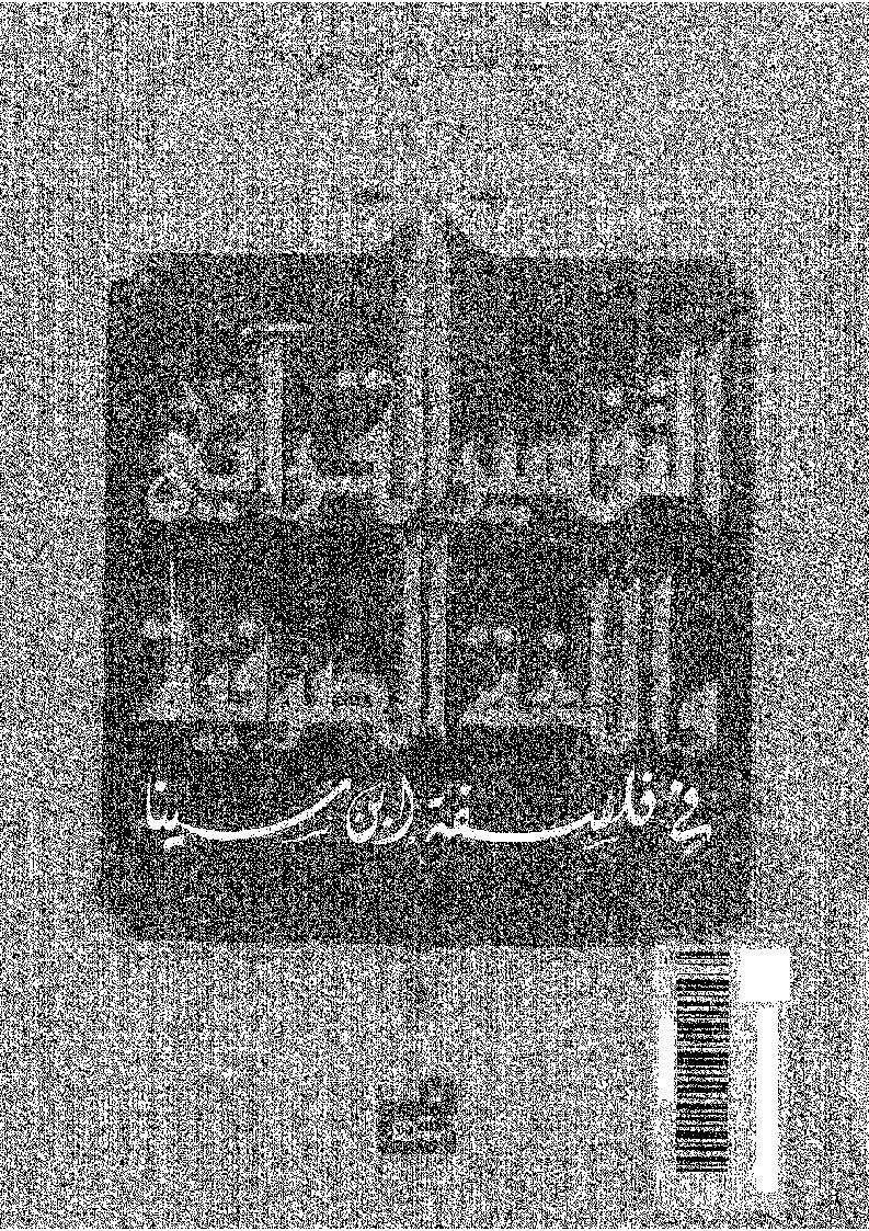التفسير القرآني واللغة الصوفية في فلسفة ابن سينا