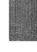 المقتبس من أنباء أهل الأندلس