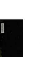 تتمة البيان في تاريخ الأفغان