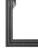 خلافة عثمان بن عفان