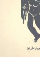 ضربتني أجنحة طائرك  قصائد إلى أحمد مرسي