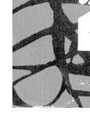 ثورة العقل والتصوف في الفلسفة العربية