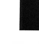 فن فهرسة المخطوطات – مدخل و قضايا