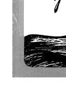 ماهية الحروب الصليبية