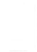 هكذا ظهر جيل صلاح الدين وهكذا عادة القدس