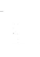 عروس فرغانة – ( رواية )