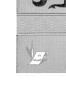 نساء حول الرسول