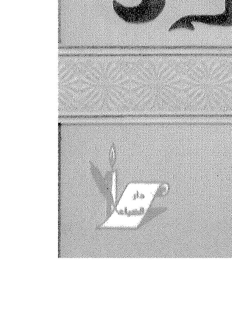 نساء حول الرسول