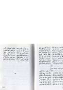 ديوان أبي ماضي