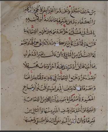 مخطوطات الزاوية الأوزبكية في القدس الشريف 169