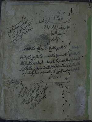 الفروق في الفروع