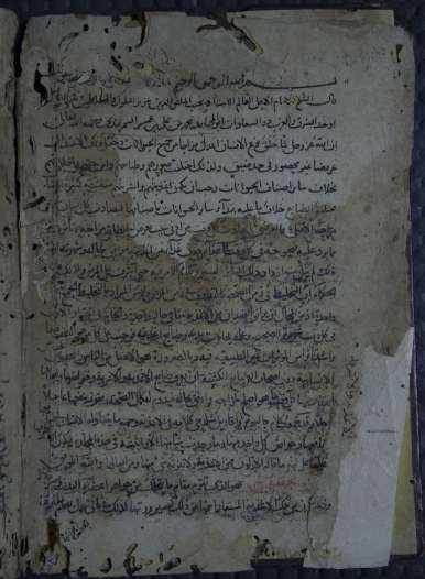 الأغذية والأشربة  أغذية المرضى  السمرقندي