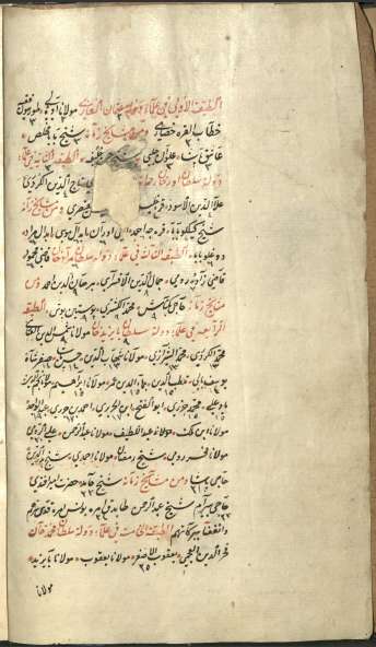 الشقائق النعمانية