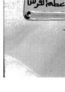 إعلام السائلين عن كتب سيد المرسلين