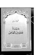 حياة عمرو بن العاص