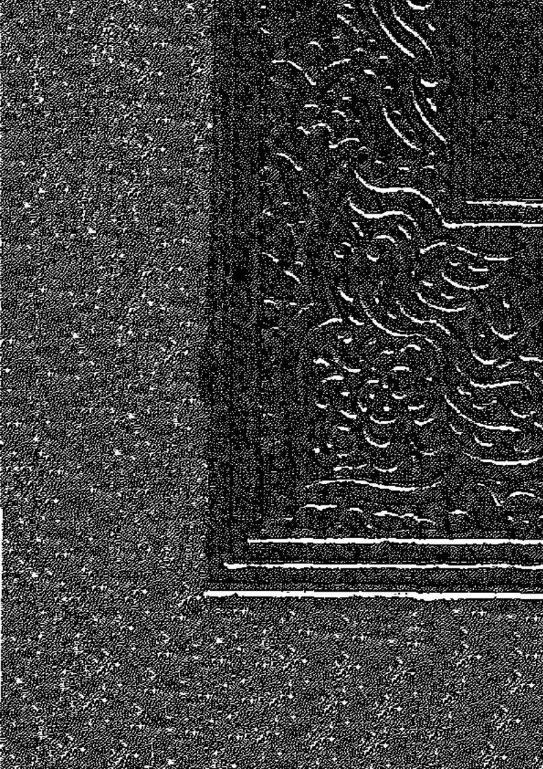 سيرة ومناقب عمر بن عبد العزيز الخليفة الزاهد