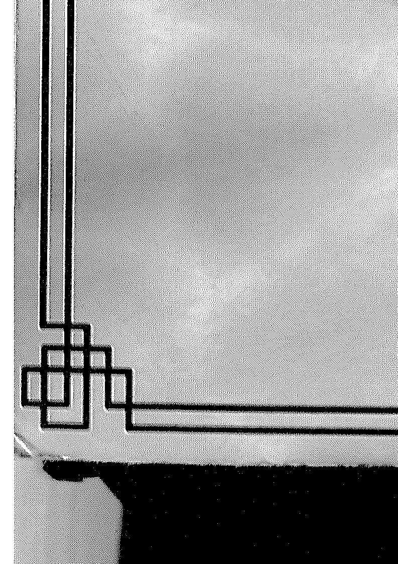 شمائل الرسول