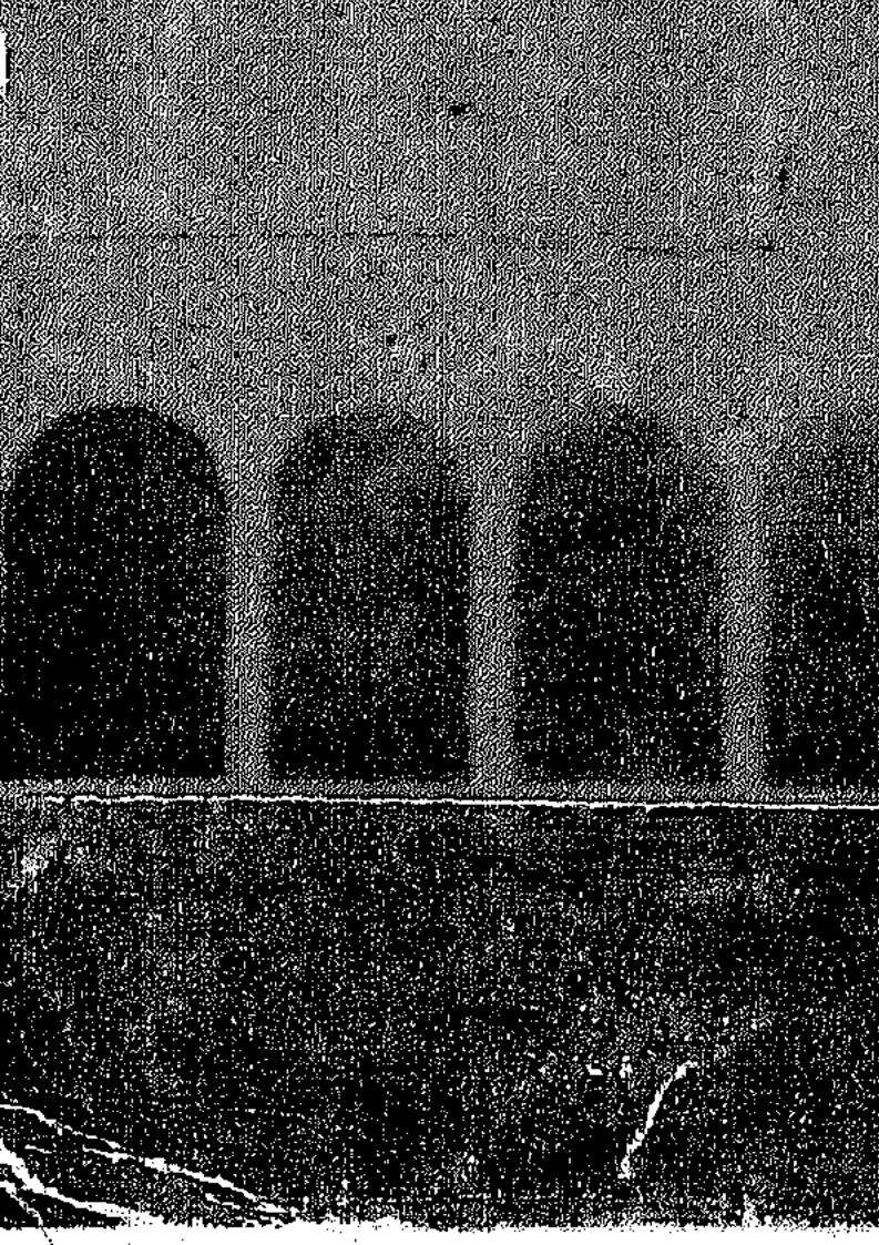 صحابة رسول الله صلى الله عليه وسلم – مواقف ومواعظ