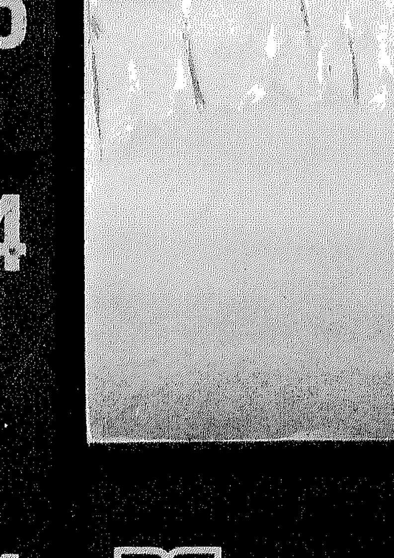 موسوعة الغزوات الكبرى – غزوة أحد