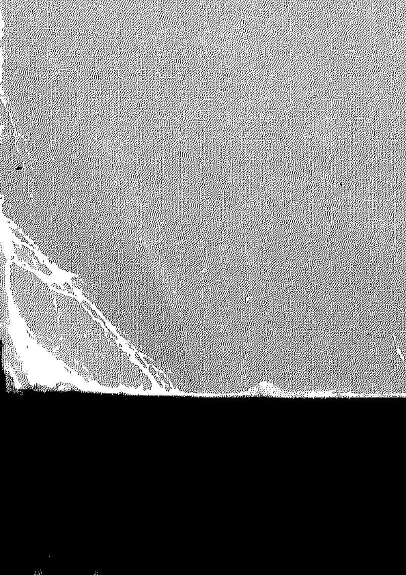 محمد خاتم المرسلين