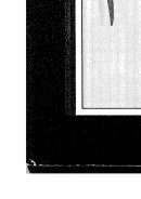 أزمة العرب ومستقبلهم