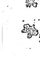 التشيع والشيعة – عالم إيراني شيعي الأصل يكشف حقيقة مذهب خميني وطائفته
