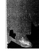 الجماعات الوظيفية اليهودية – نموذج تفسيري جديد