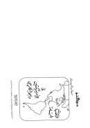 الأقليات المسلمة في الأمريكيتين والبحر الكاريبي – الجزء الرابع