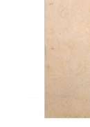 علم اللغة – علي عبد الواحد وافي ( ط – المطبعة السلفية 1941م )