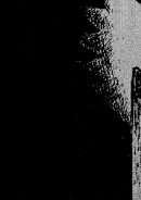 المقدس والحرية