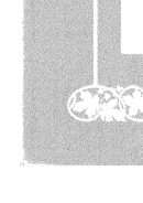 النبي – ترجمة موازية للنصين الإنجليزي والعربي