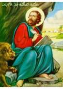 أيوب الصديق ولماذا كانت تجربته؟