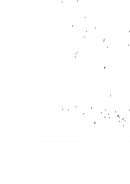 تأريخ الفلسفة بنظرة عالمية – كارل ياسبرز