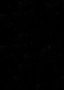 حتى لا تكون فتنة – فهمي هويدي