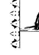 حديقة النبي – ترجمة موازية للنصين الإنجليزي والعربي